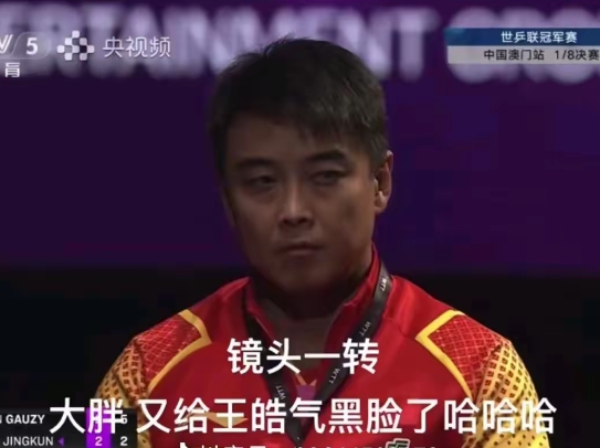 法国乒乓球队血洗德国乒乓球队，王皓一己之力扛起全队的简单介绍