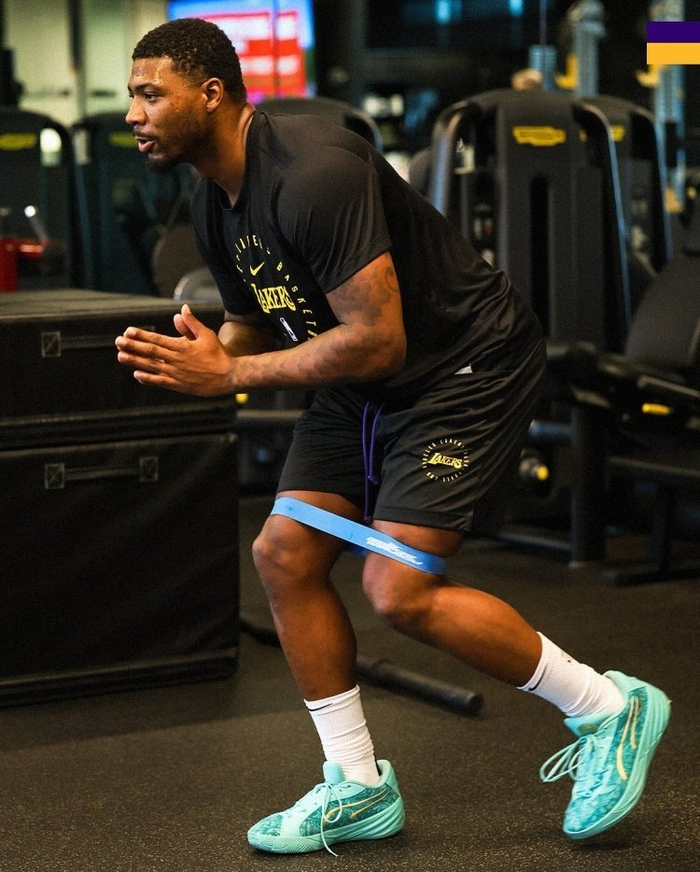 湖人队新援表现出色，助球队连胜的简单介绍